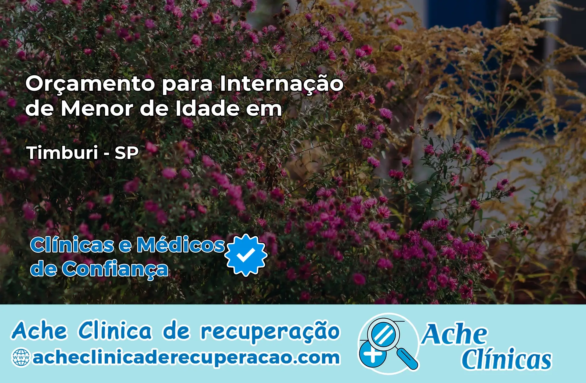 Internação de Menor de Idade em Timburi – SP