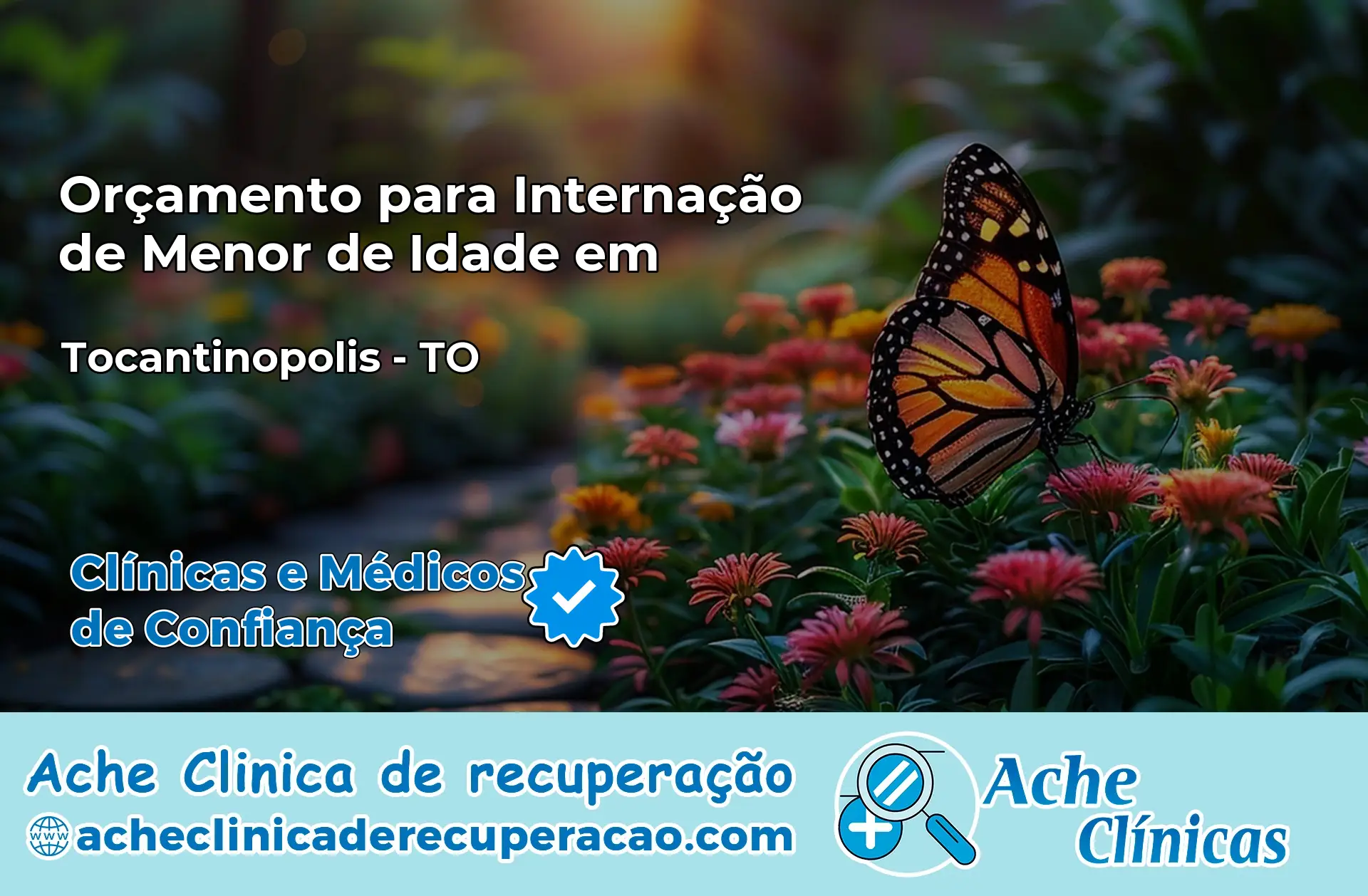 Internação de Menor de Idade em Tocantinópolis – TO