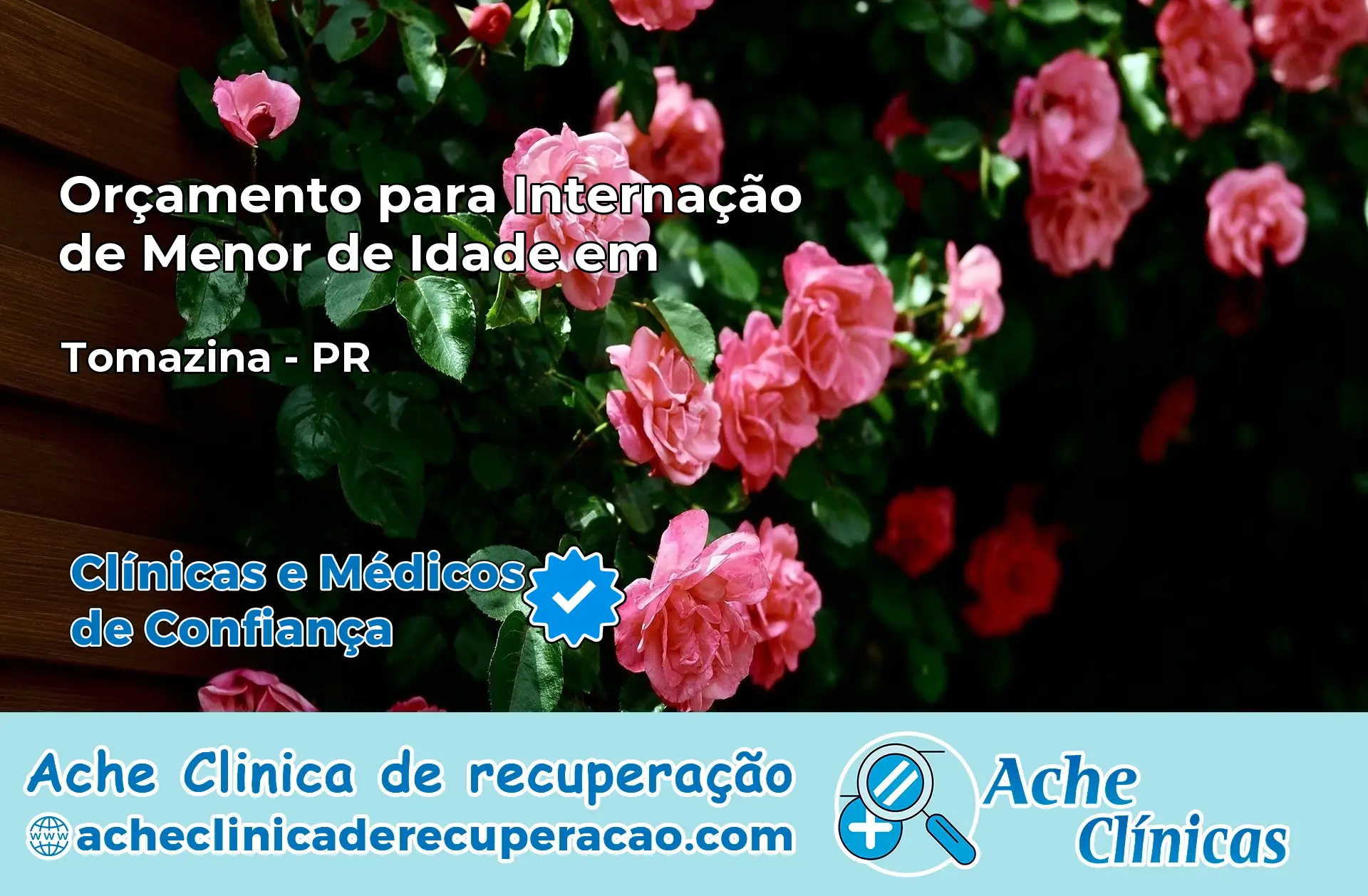 Internação de Menor de Idade em Terra Roxa – PR