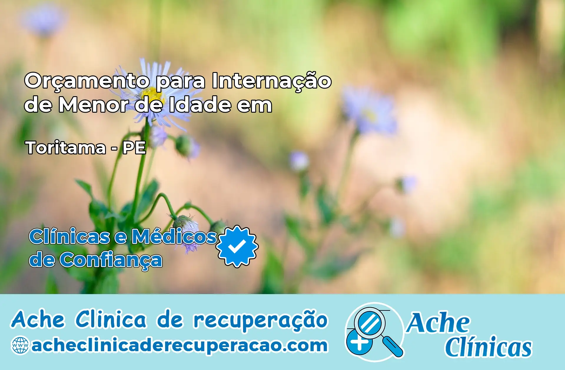 Internação de Menor de Idade em Toritama – PE