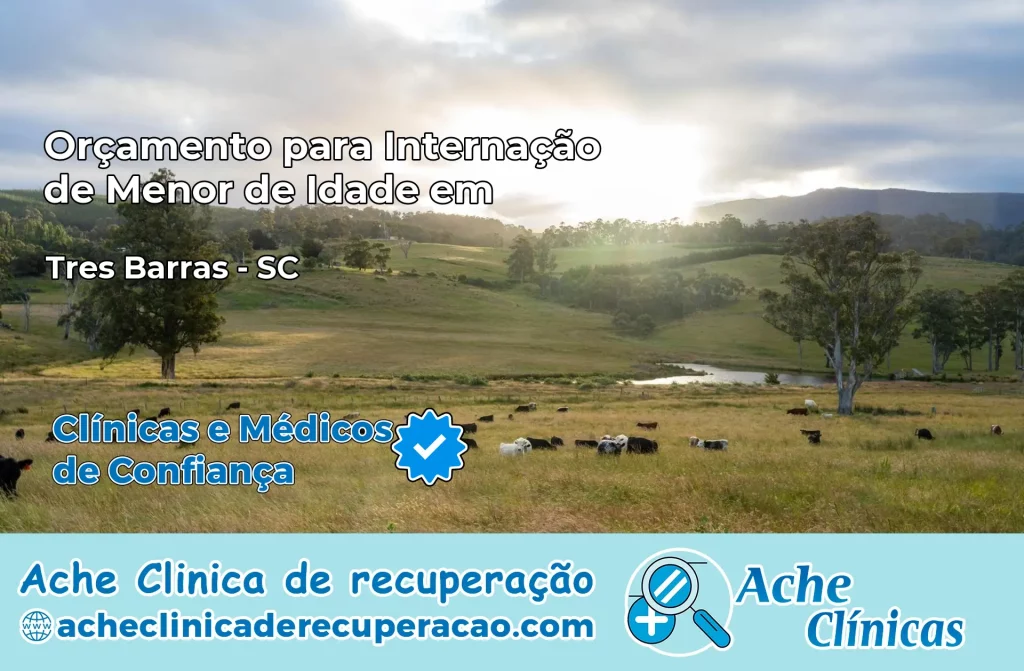 Internação de Menor de Idade em Três Barras – SC