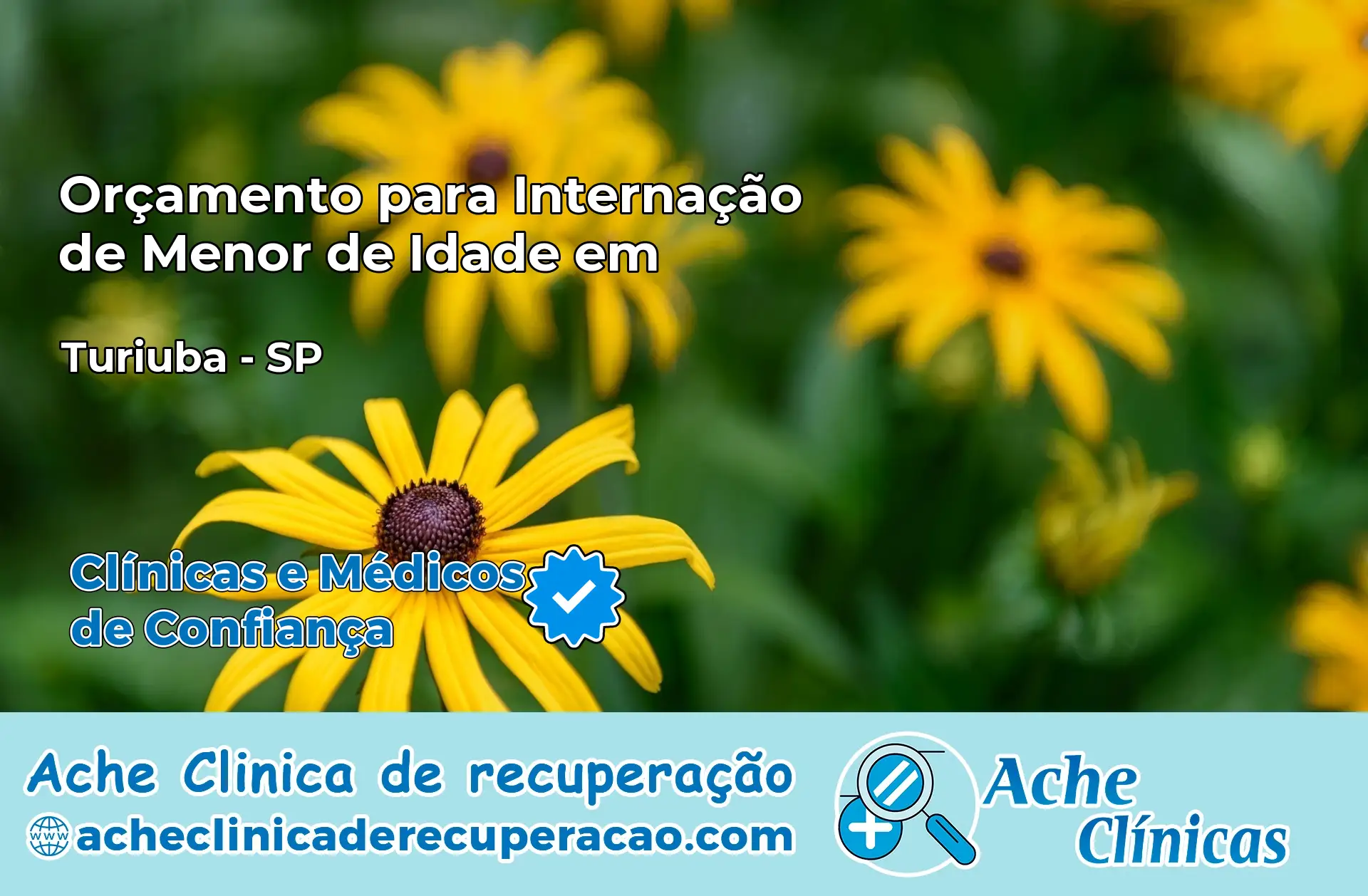 Internação de Menor de Idade em Turiúba – SP