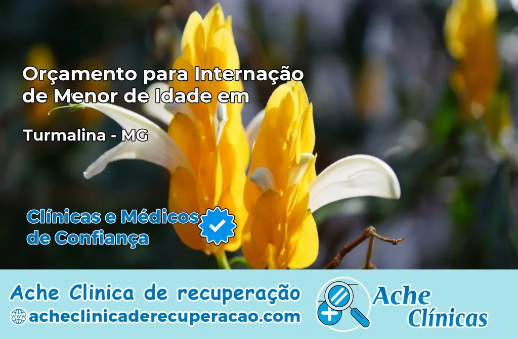 Internação de Menor de Idade em Turmalina – MG