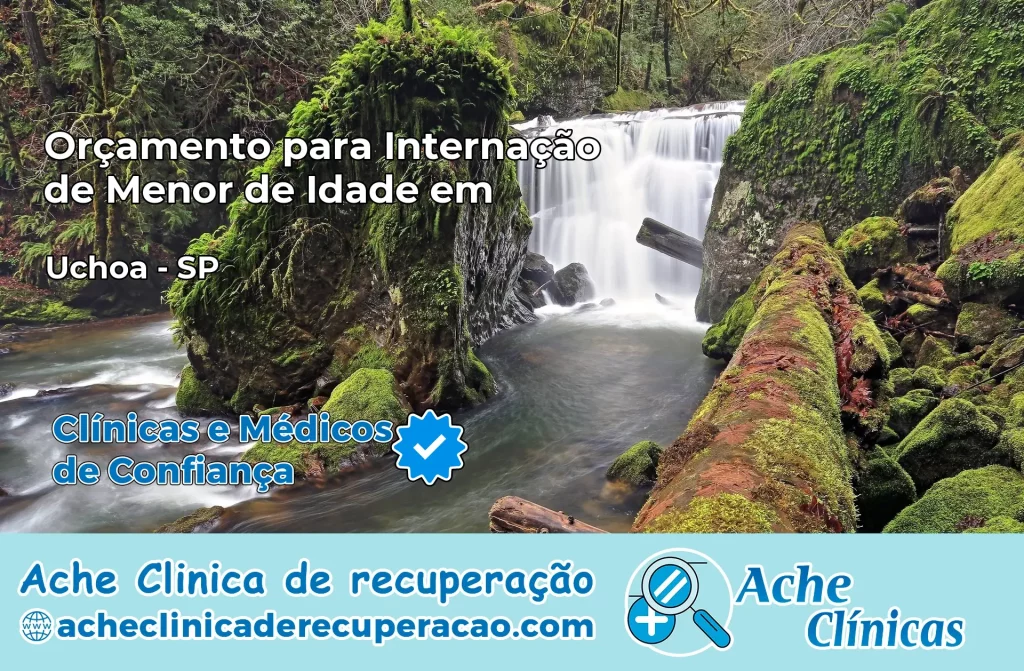 Internação de Menor de Idade em Uchoa – SP