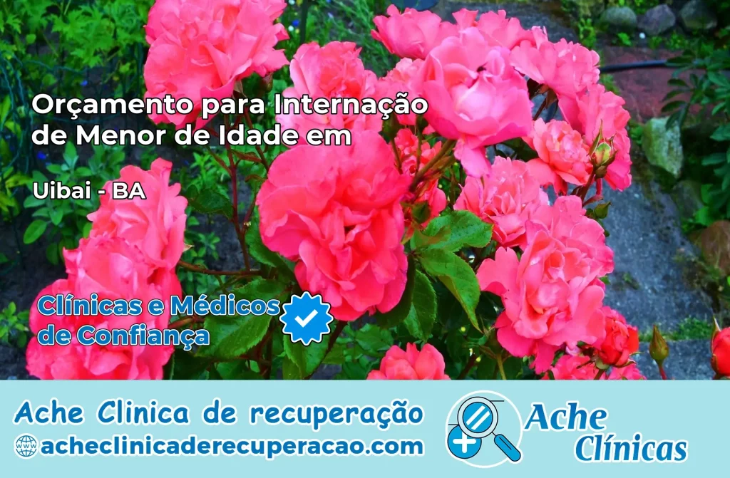 Internação de Menor de Idade em Uibaí – BA