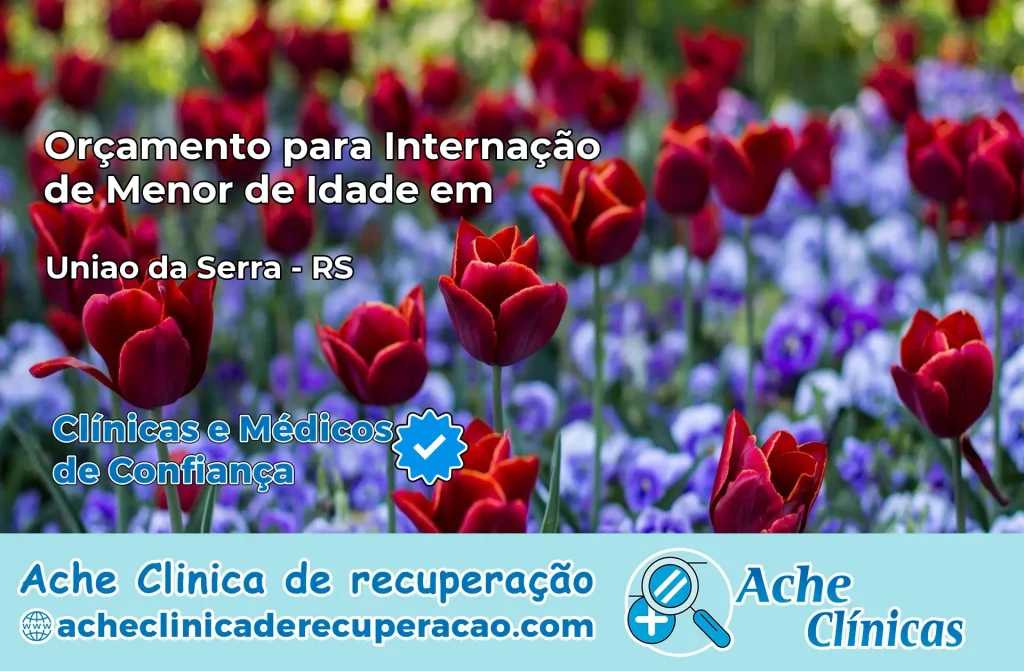 Internação de Menor de Idade em União da Serra – RS