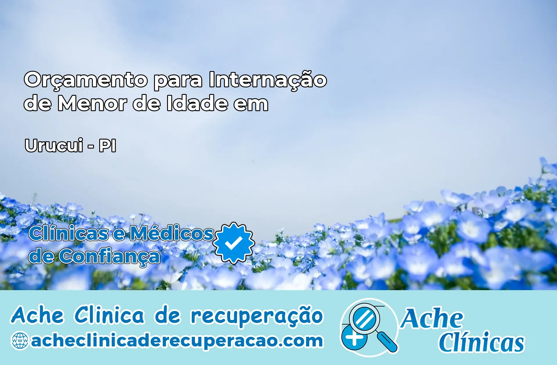 Internação de Menor de Idade em Uruçuí – PI