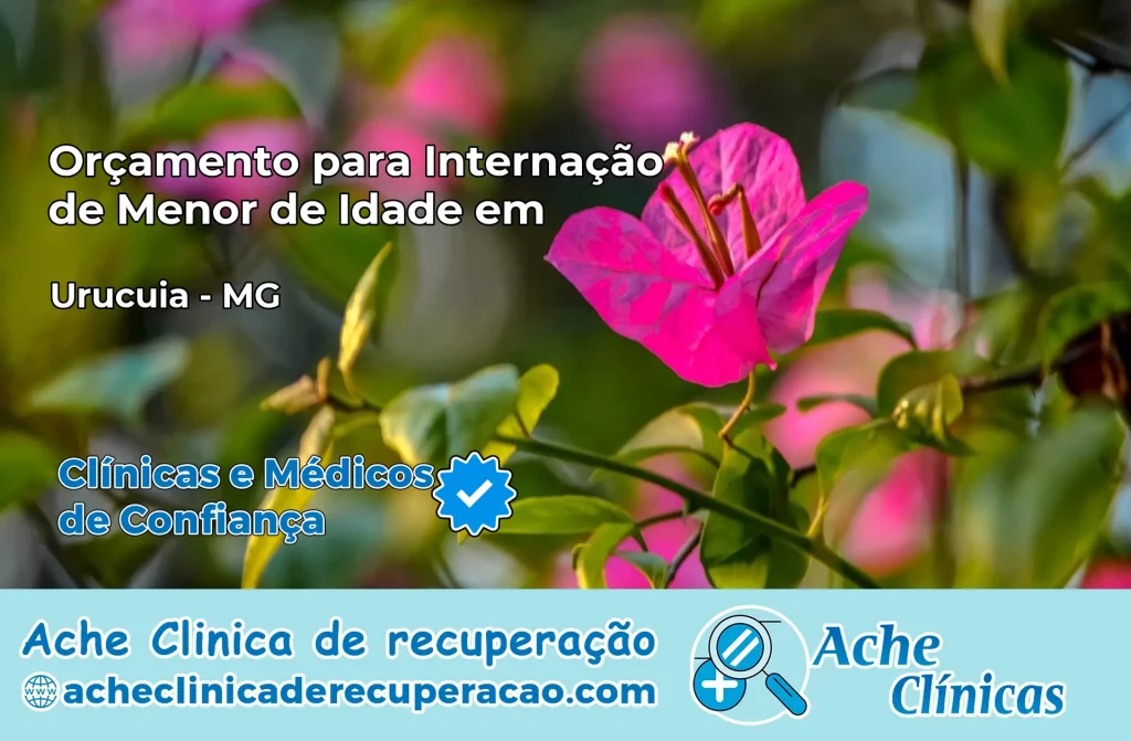 Internação de Menor de Idade em Urucuia – MG
