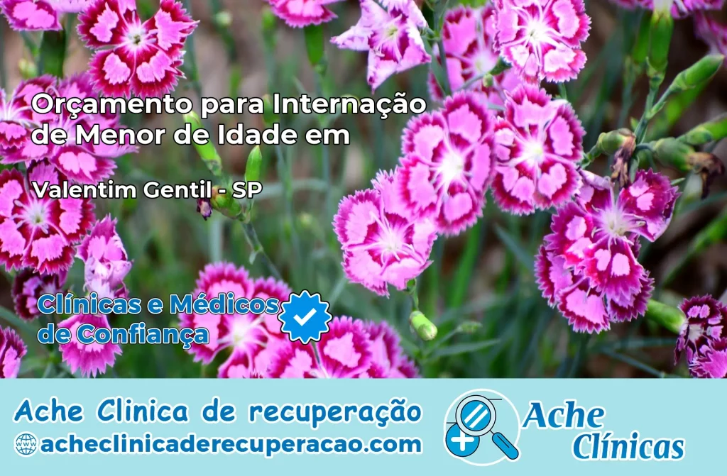 Internação de Menor de Idade em Valentim Gentil – SP