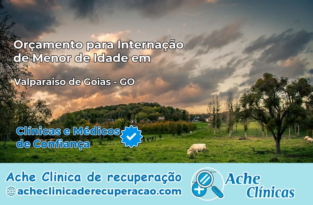 Internação de Menor de Idade em Valparaíso de Goiás – GO