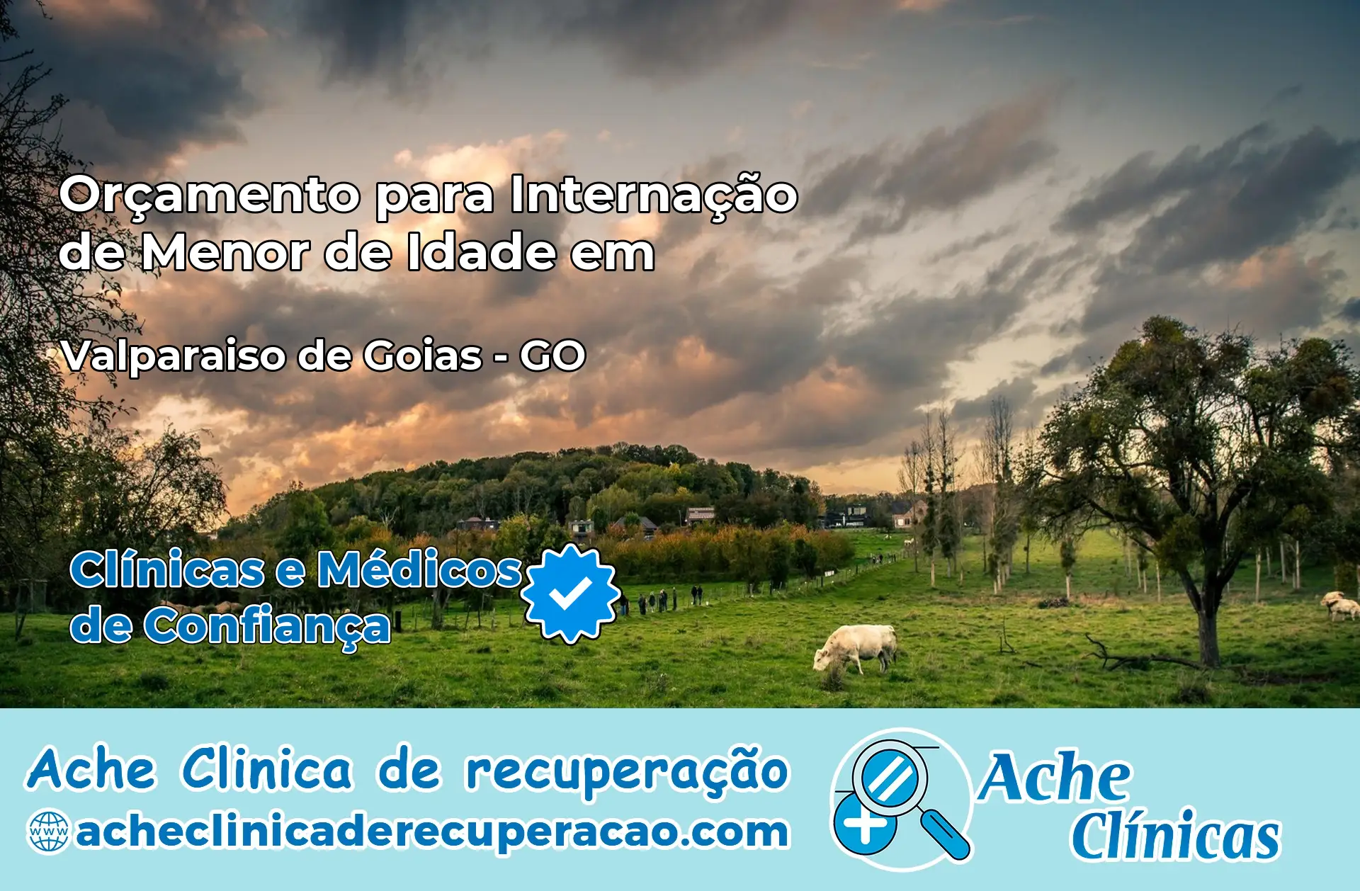 Internação de Menor de Idade em Valparaíso de Goiás – GO