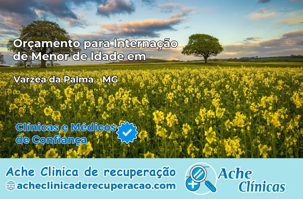 Internação de Menor de Idade em Várzea da Palma – MG