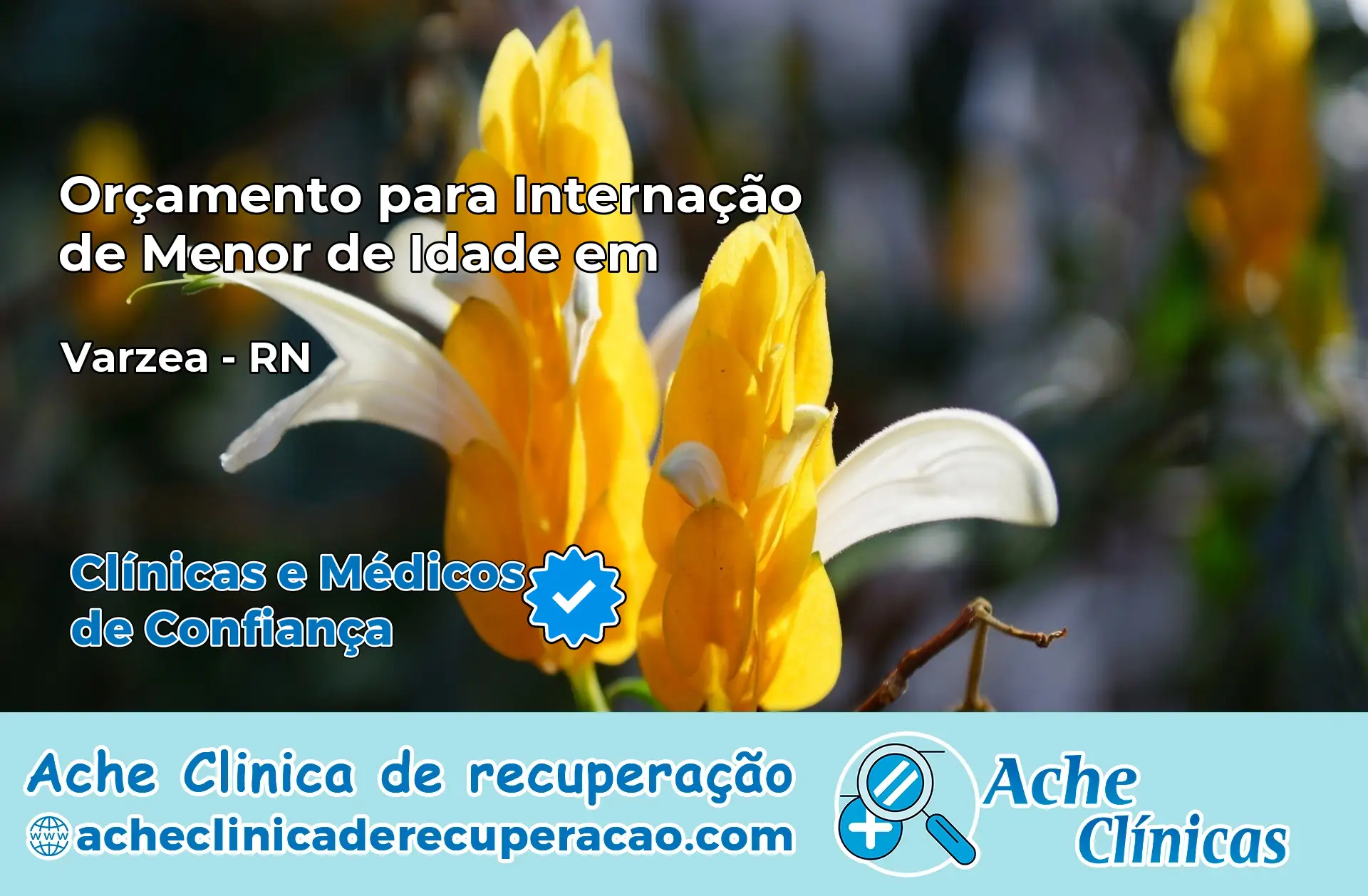 Internação de Menor de Idade em Várzea – RN