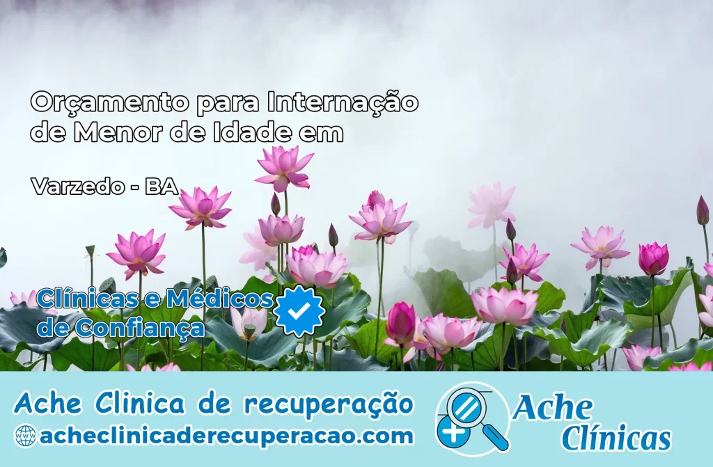 Internação de Menor de Idade em Varzedo – BA