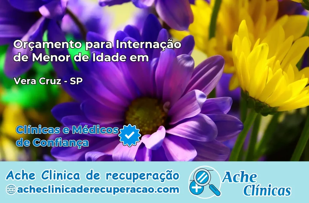 Internação de Menor de Idade em Vera Cruz – SP