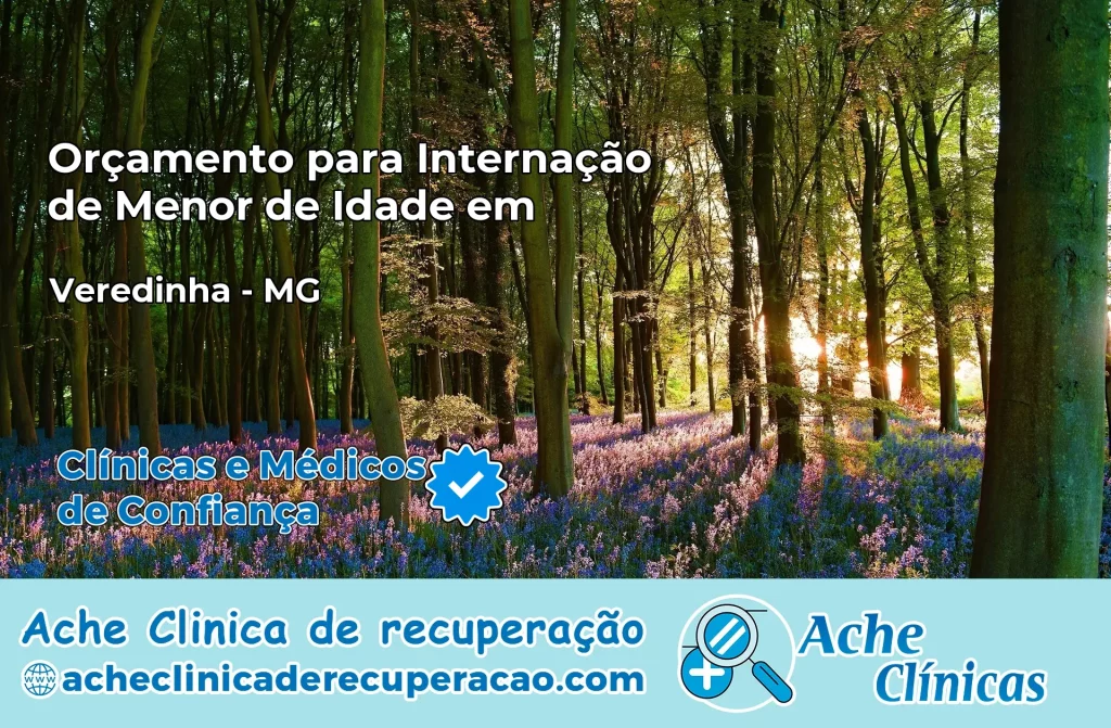 Internação de Menor de Idade em Veredinha – MG