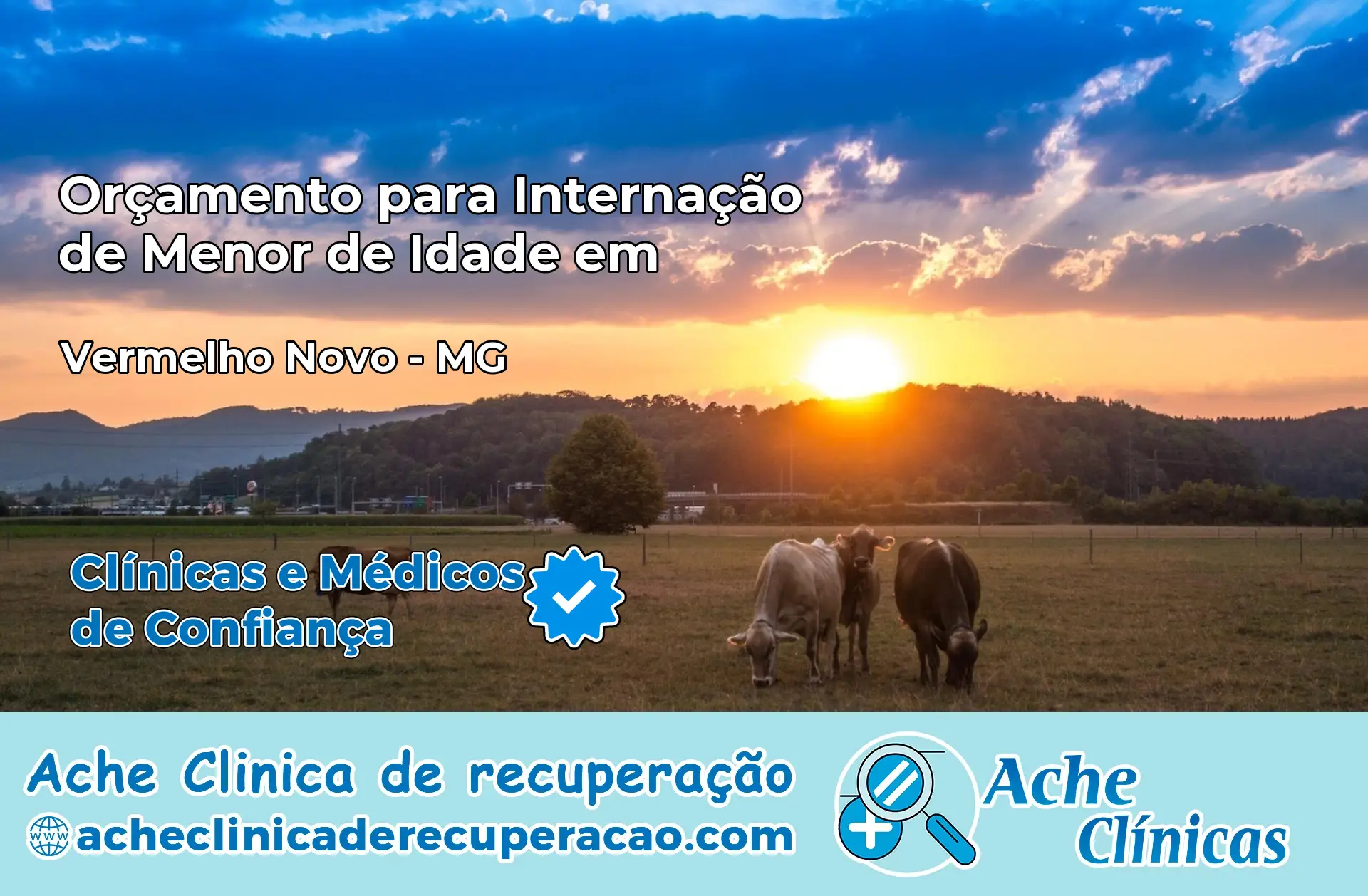Internação de Menor de Idade em Vermelho Novo – MG