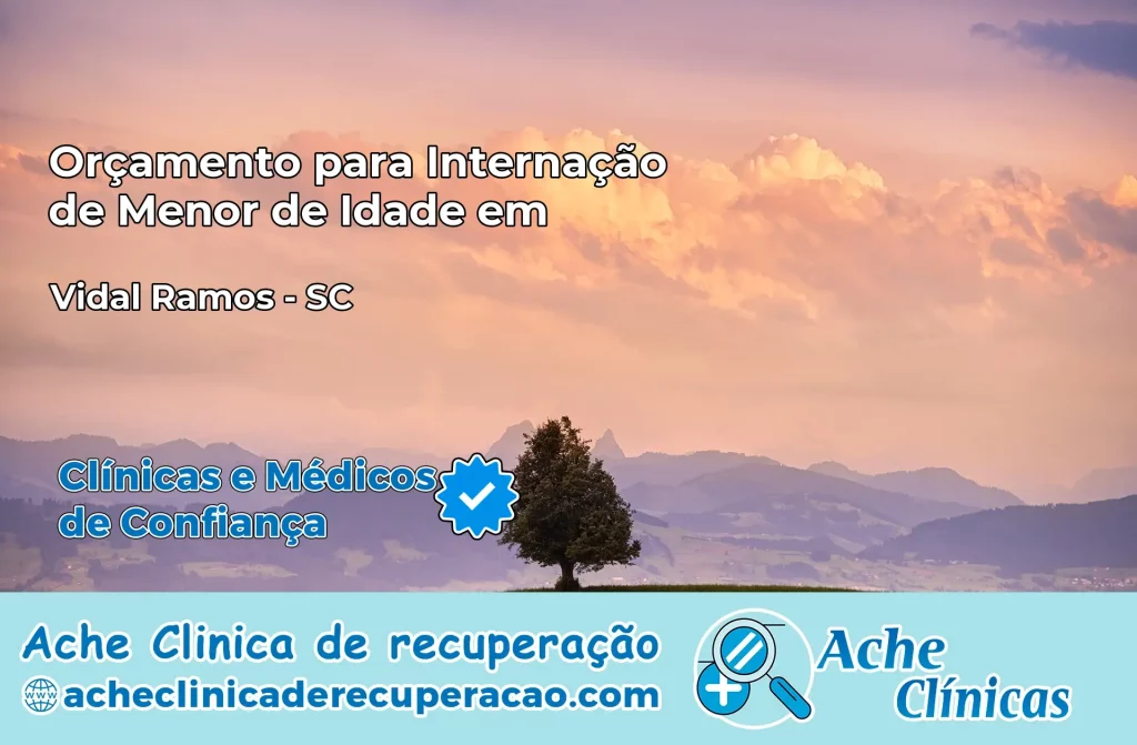 Internação de Menor de Idade em Vidal Ramos – SC