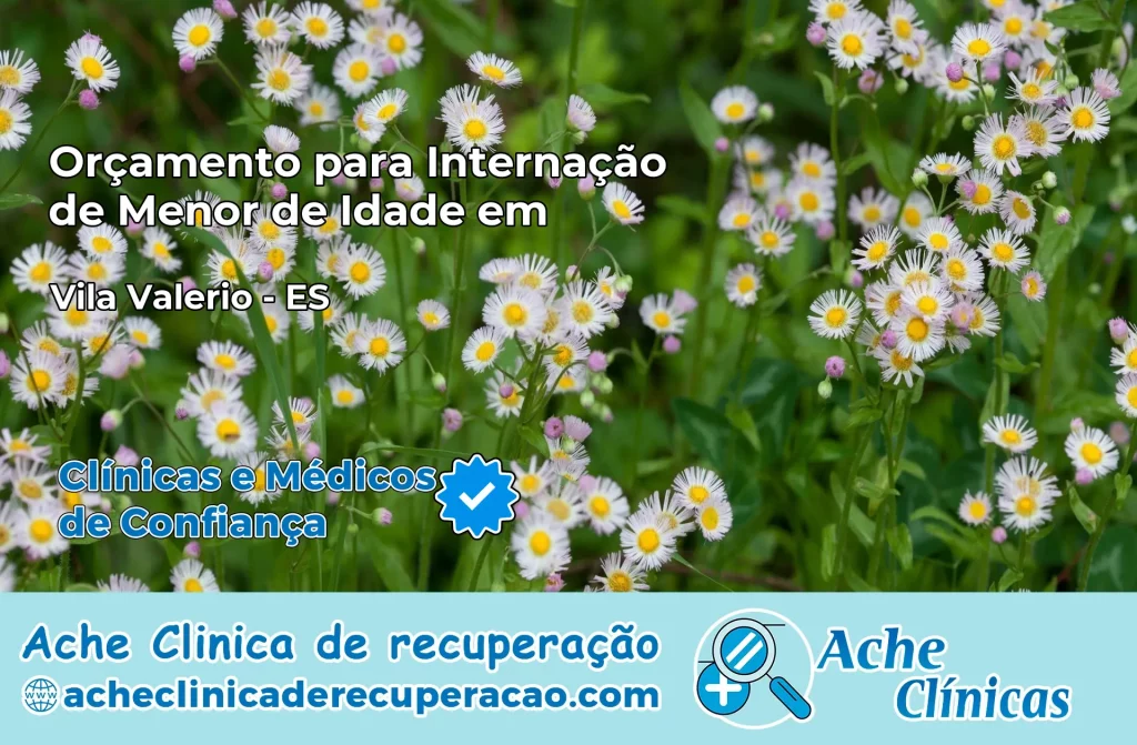 Internação de Menor de Idade em Vila Valério – ES