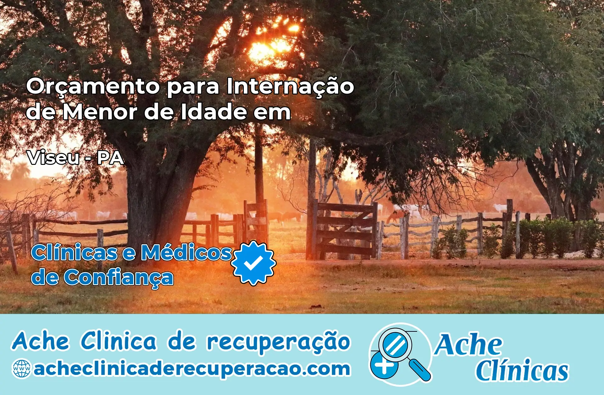 Internação de Menor de Idade em Viseu – PA