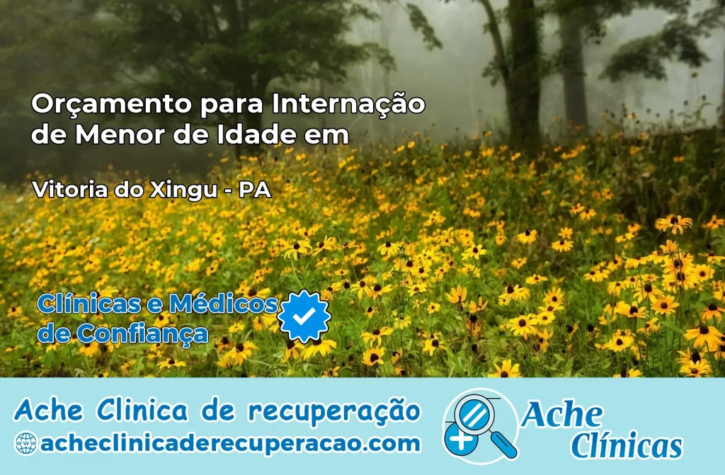 Internação de Menor de Idade em Vitória do Xingu – PA