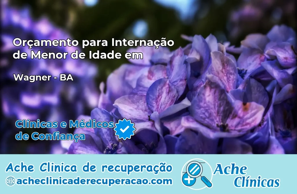 Internação de Menor de Idade em Wagner – BA