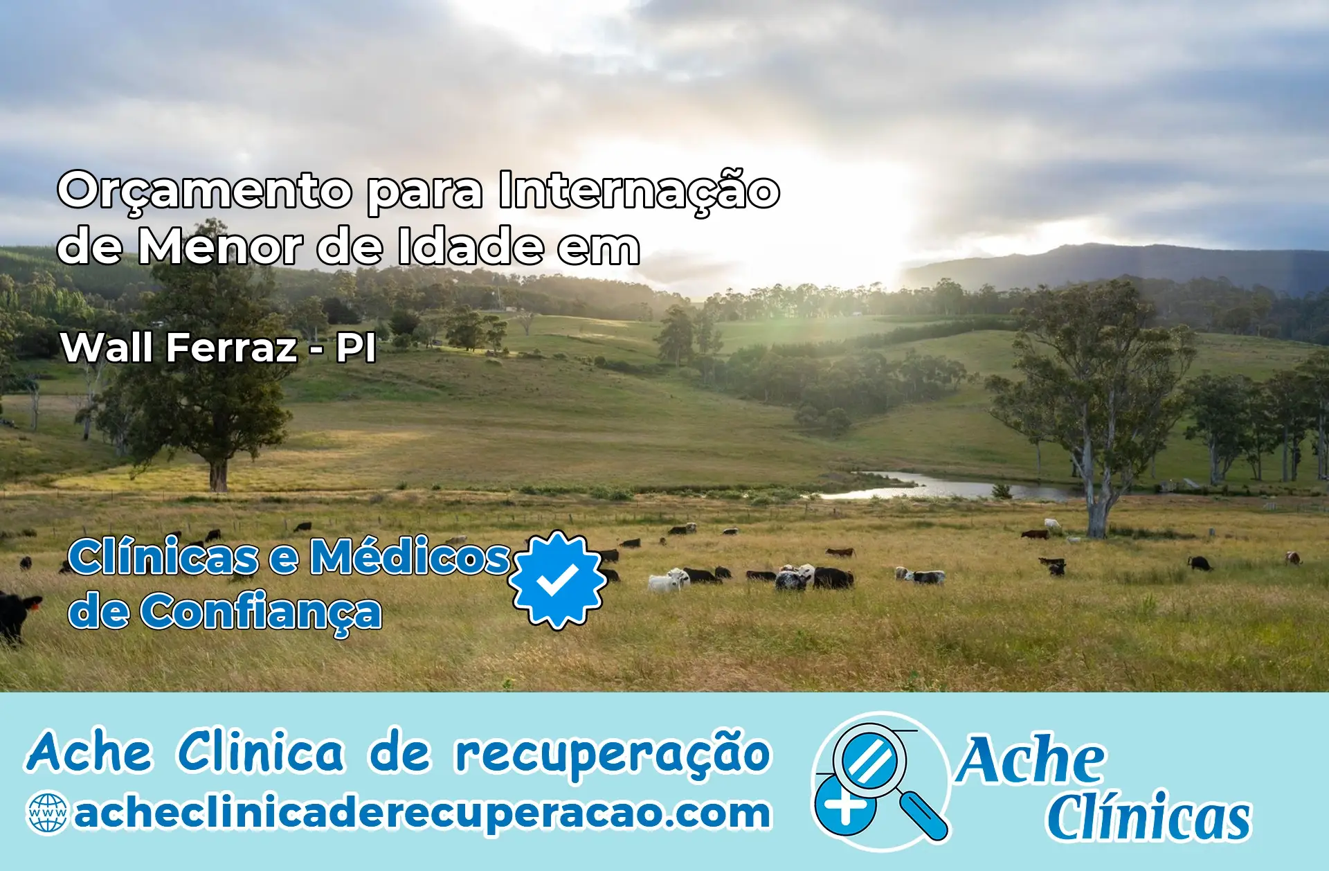 Internação de Menor de Idade em Wall Ferraz – PI