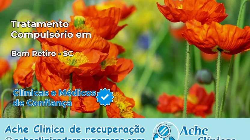 Tratamento Compulsório em Bom Retiro – SC