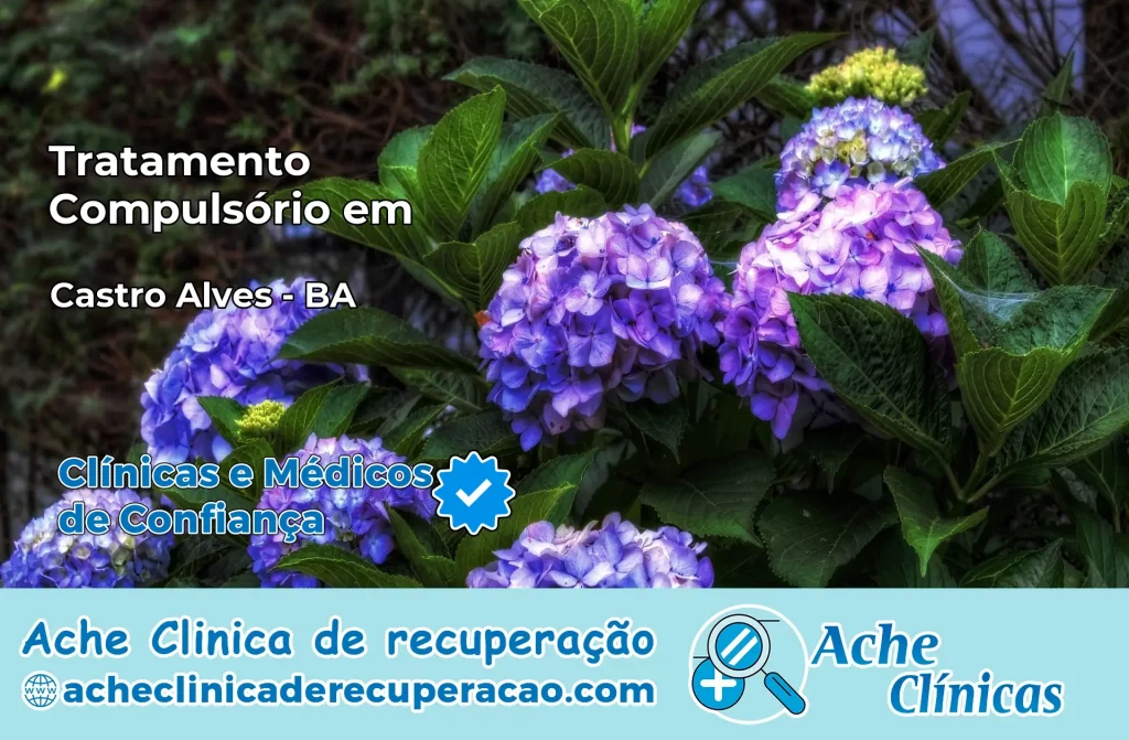 Tratamento Compulsório em Castro Alves – BA