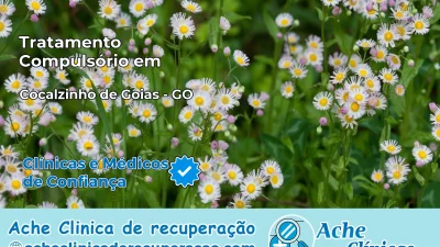 Tratamento Compulsório em Cocalzinho de Goiás – GO