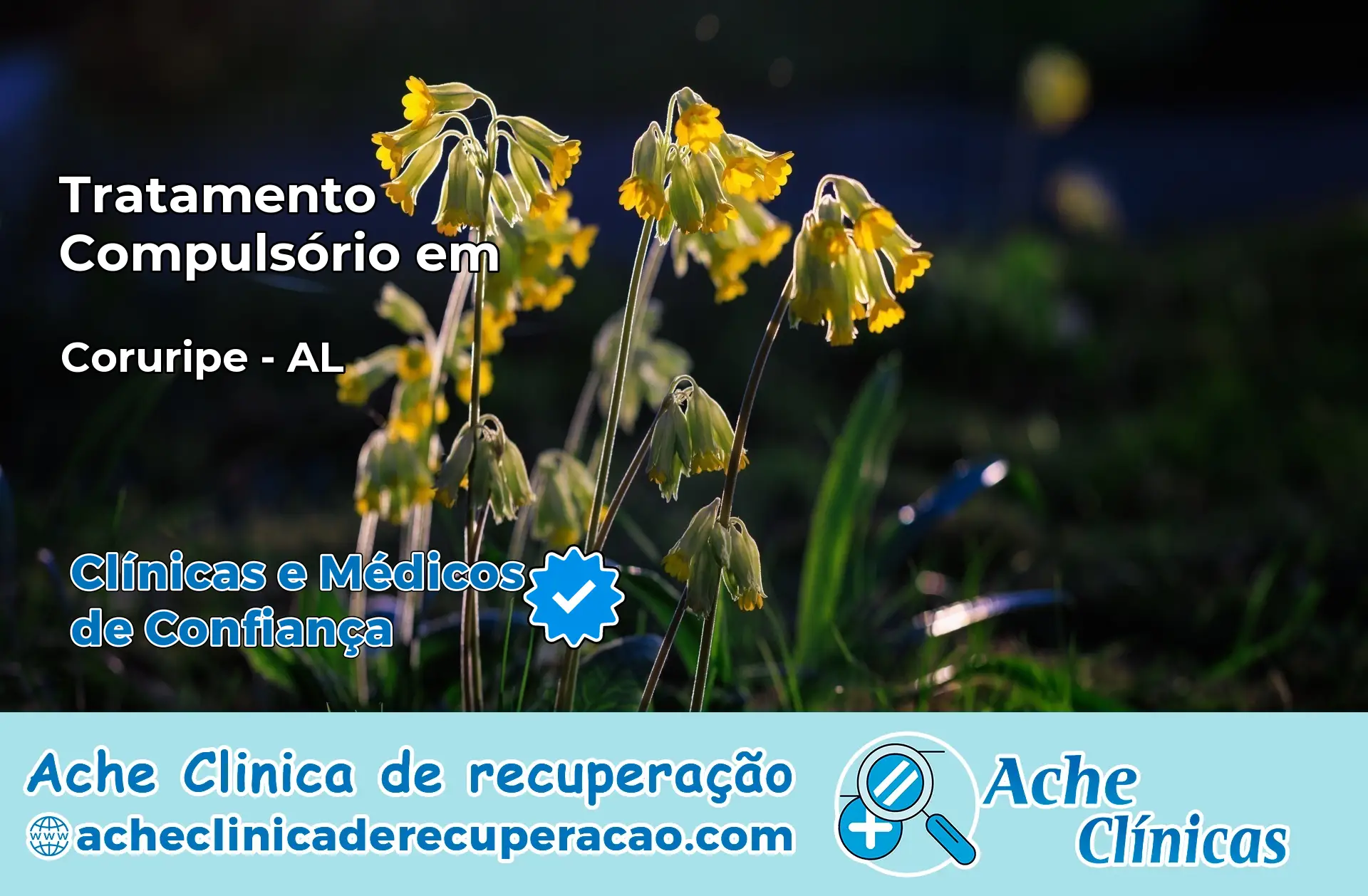 Tratamento Compulsório em Coruripe – AL