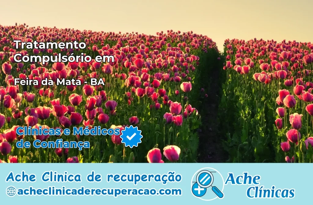 Tratamento Compulsório em Feira da Mata – BA