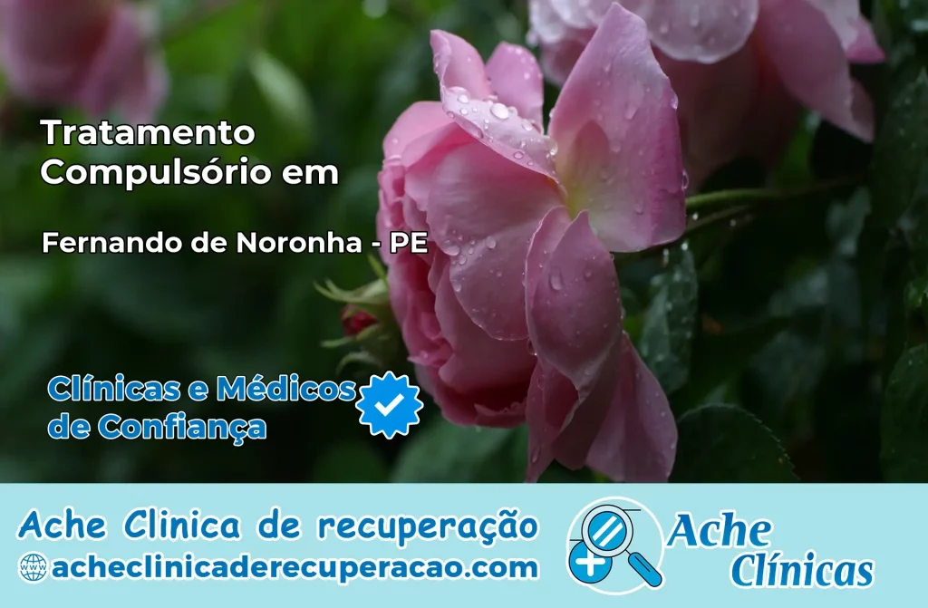 Tratamento Compulsório em Fernando de Noronha – PE