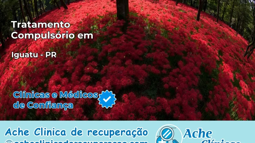 Tratamento Compulsório em Iguatu – PR
