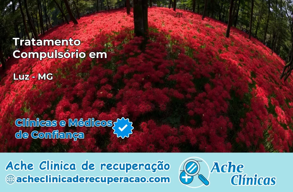 Tratamento Compulsório em Luz – MG