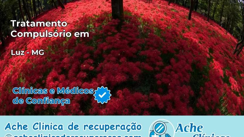 Tratamento Compulsório em Luz – MG