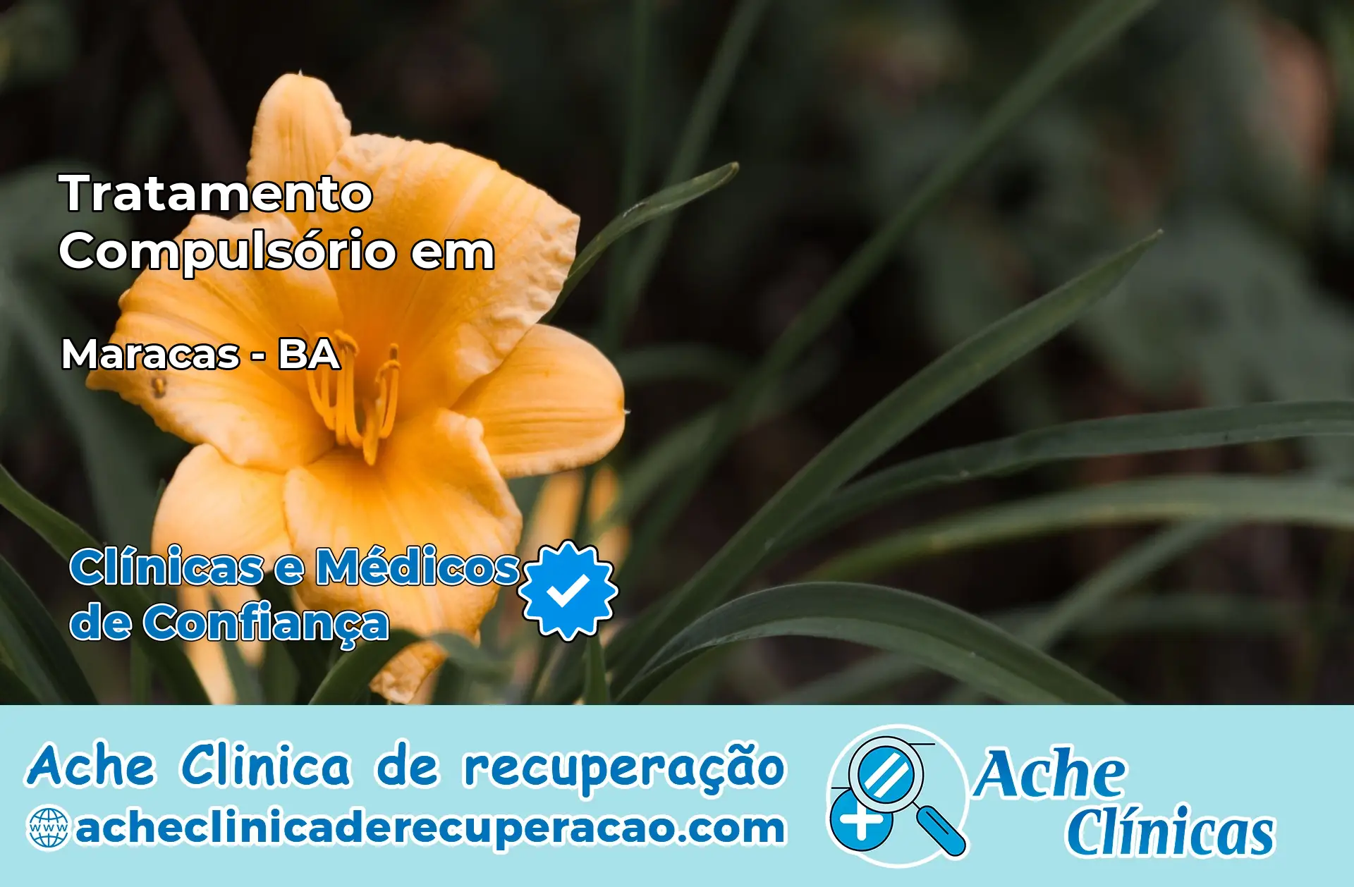 Tratamento Compulsório em Maracás – BA