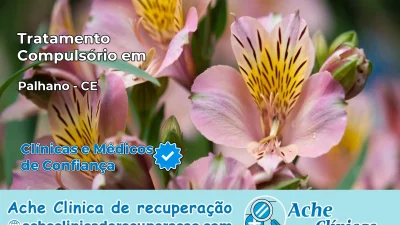 Tratamento Compulsório em Palhano – CE