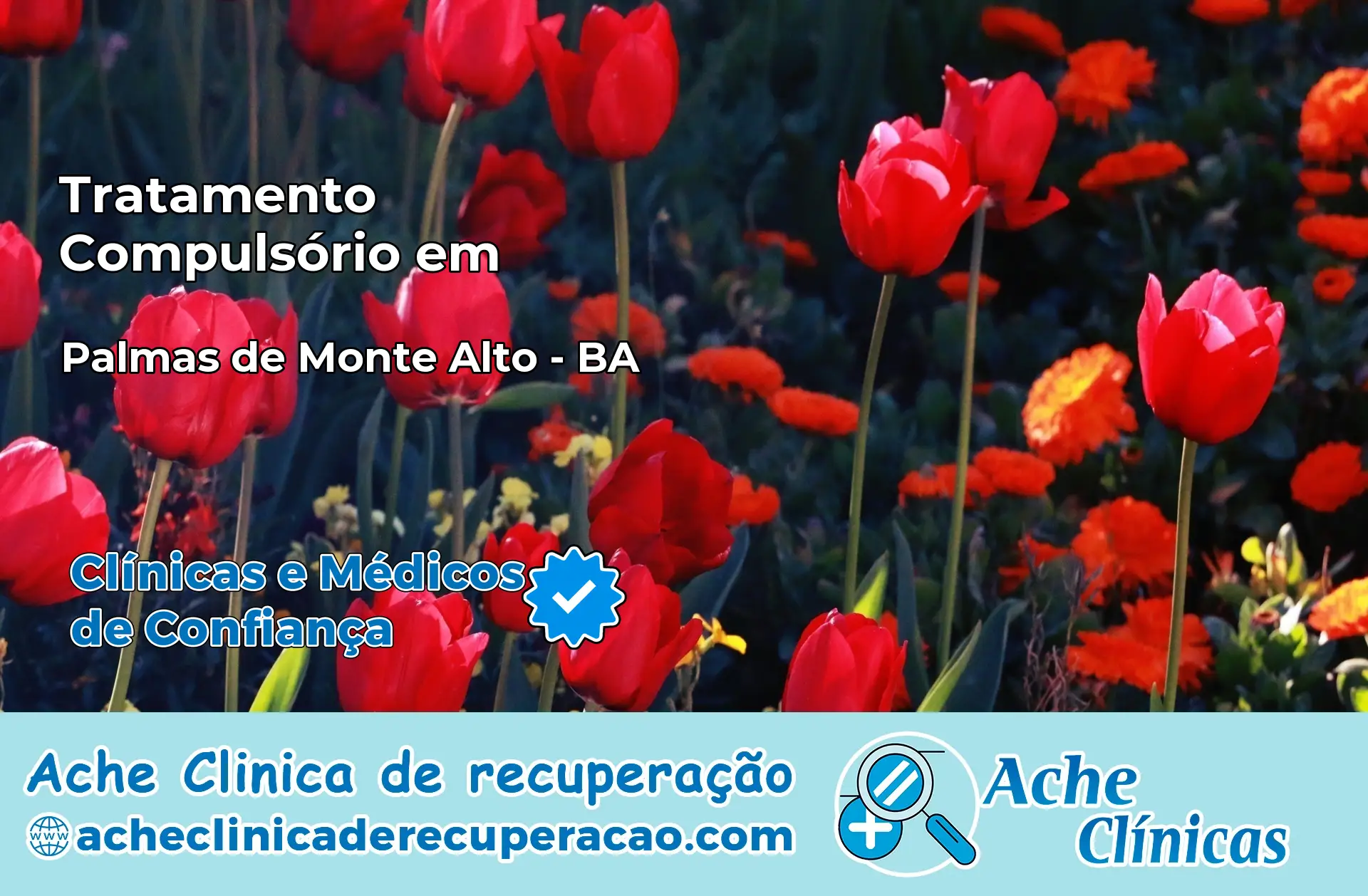 Tratamento Compulsório em Palmas de Monte Alto – BA