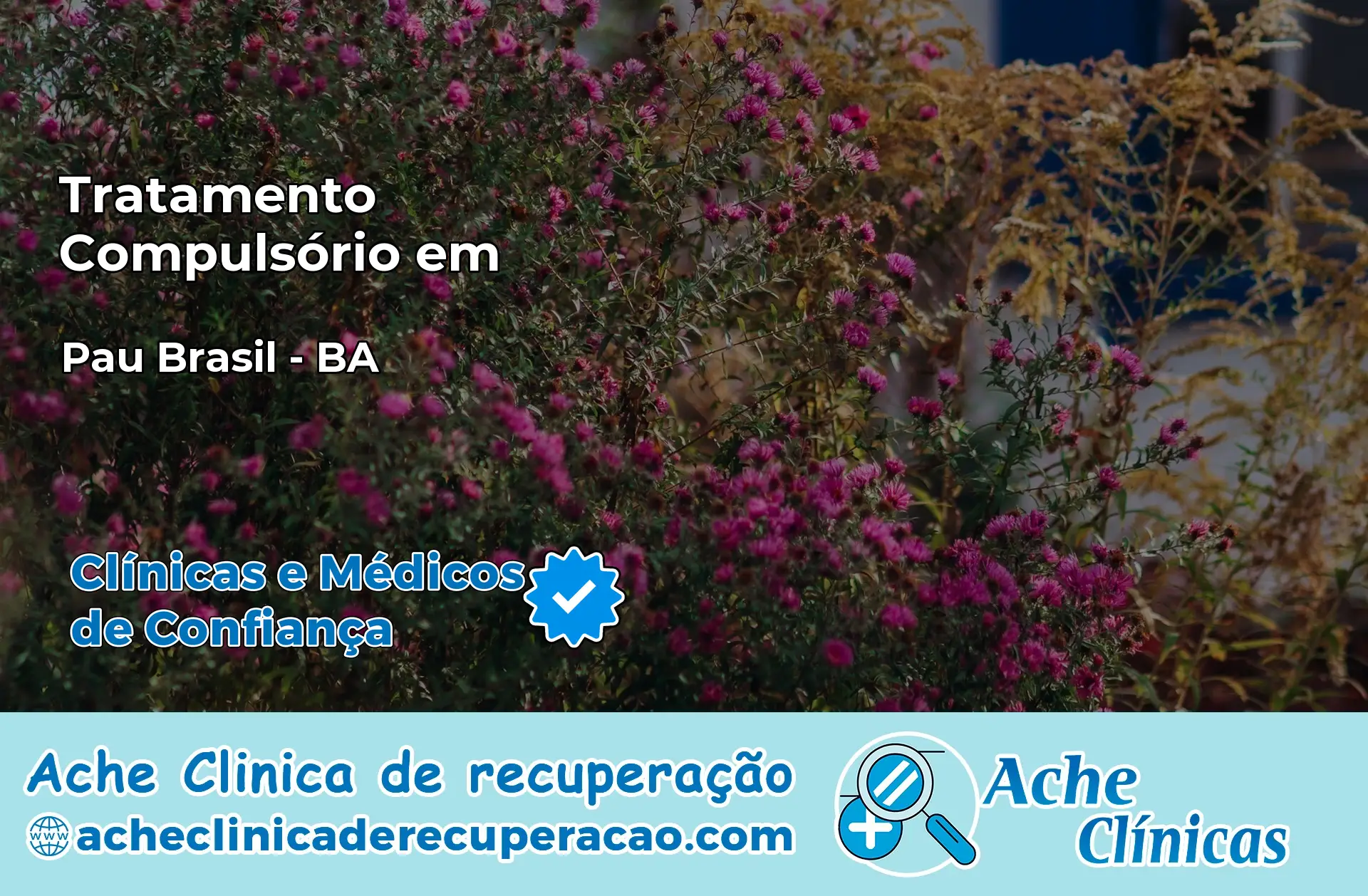 Tratamento Compulsório em Pau Brasil – BA