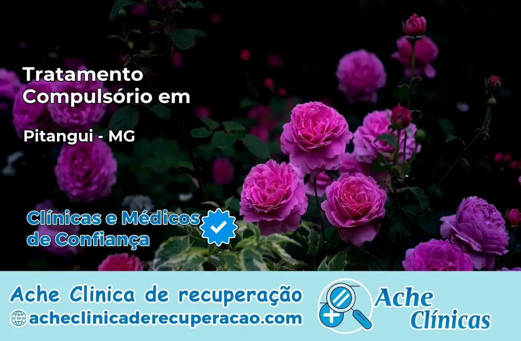 Tratamento Compulsório em Pitangui – MG