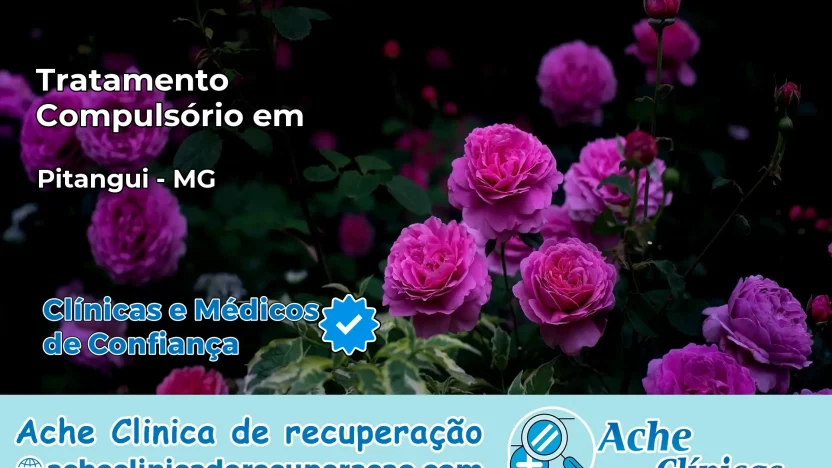 Tratamento Compulsório em Pitangui – MG