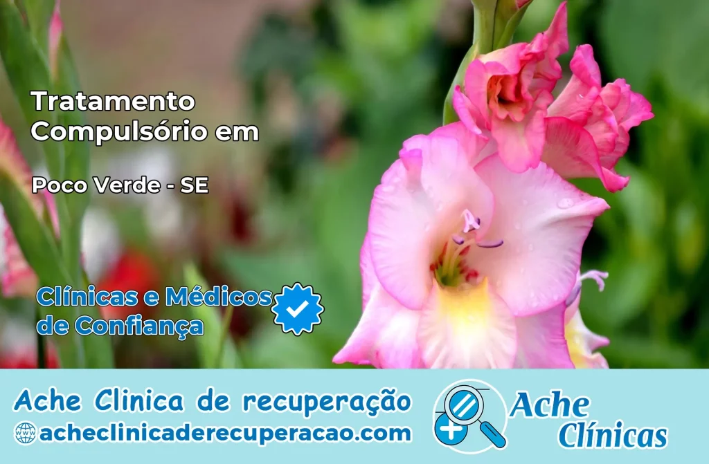 Tratamento Compulsório em Poço Verde – SE
