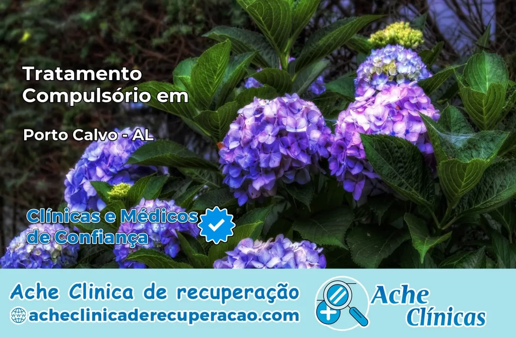 Tratamento Compulsório em Porto Calvo – AL