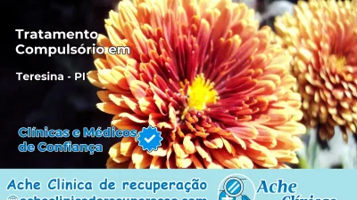 Tratamento Compulsório em Teresina – PI