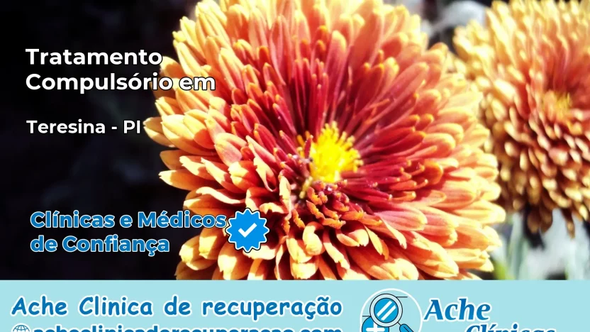 Tratamento Compulsório em Teresina – PI