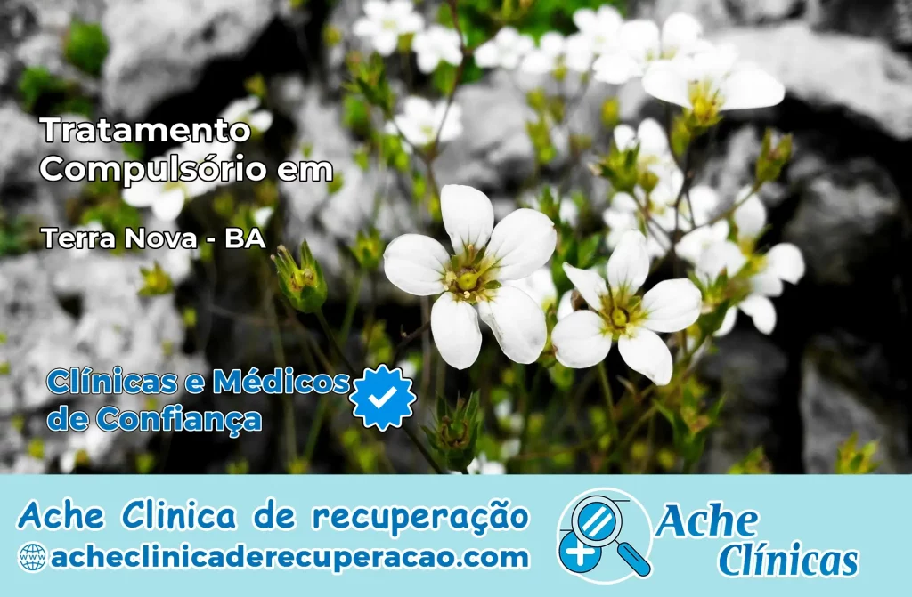 Tratamento Compulsório em Terra Nova – BA